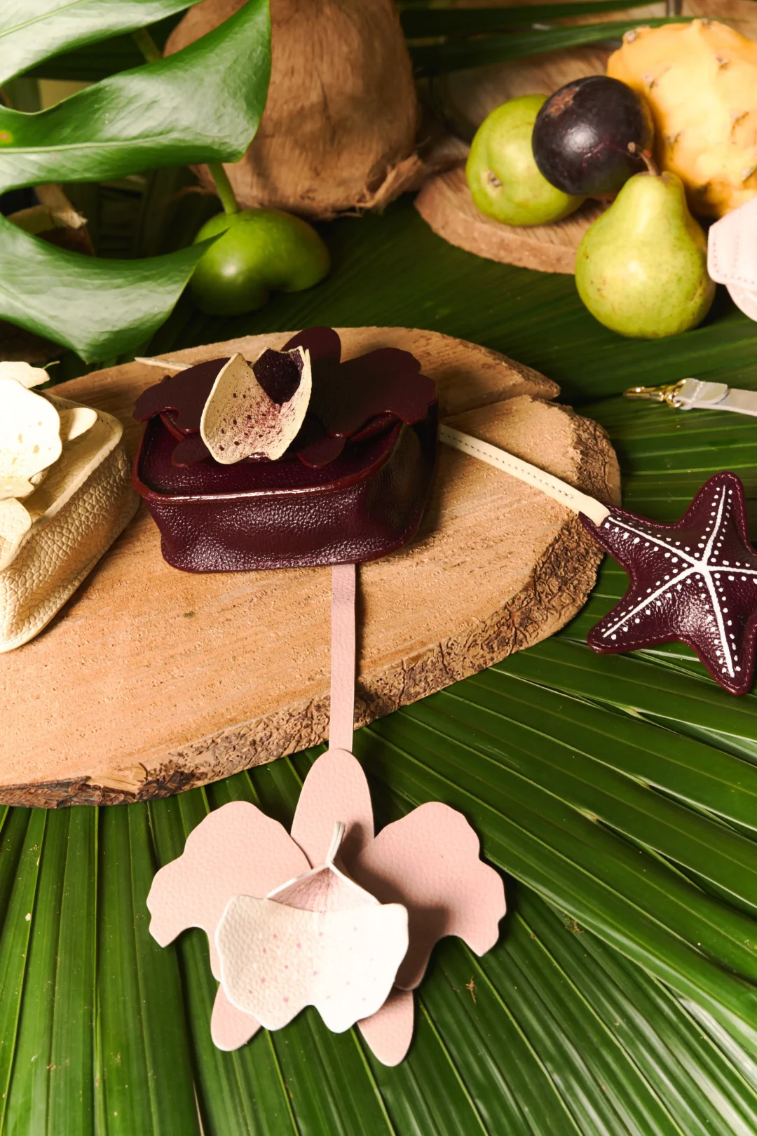 CATTLEYA CHARM - Image 4