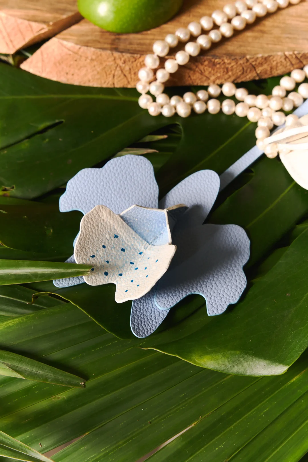 CATTLEYA CHARM - Image 5
